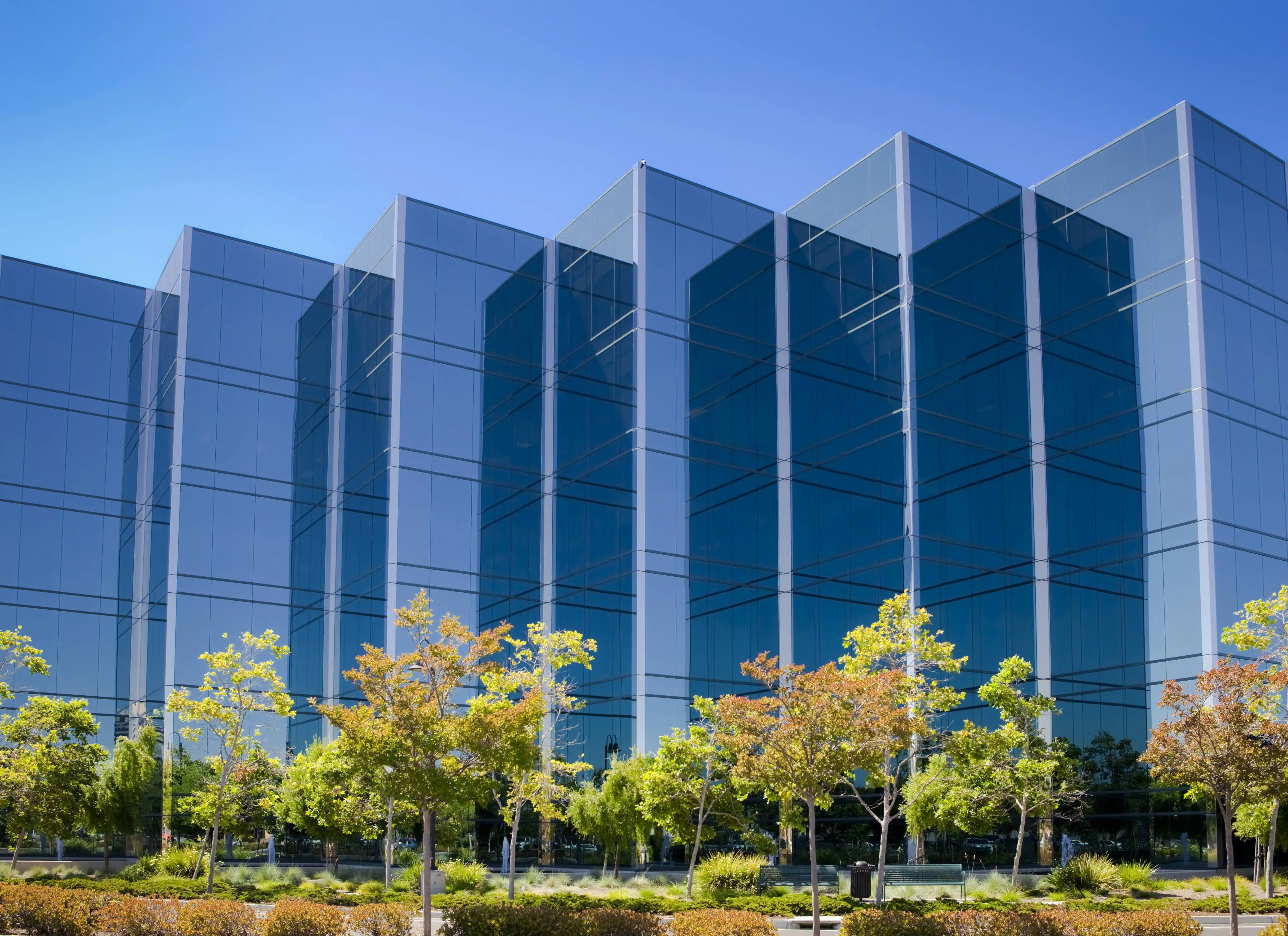 Glass office buildings surrounded by trees under a blue sky