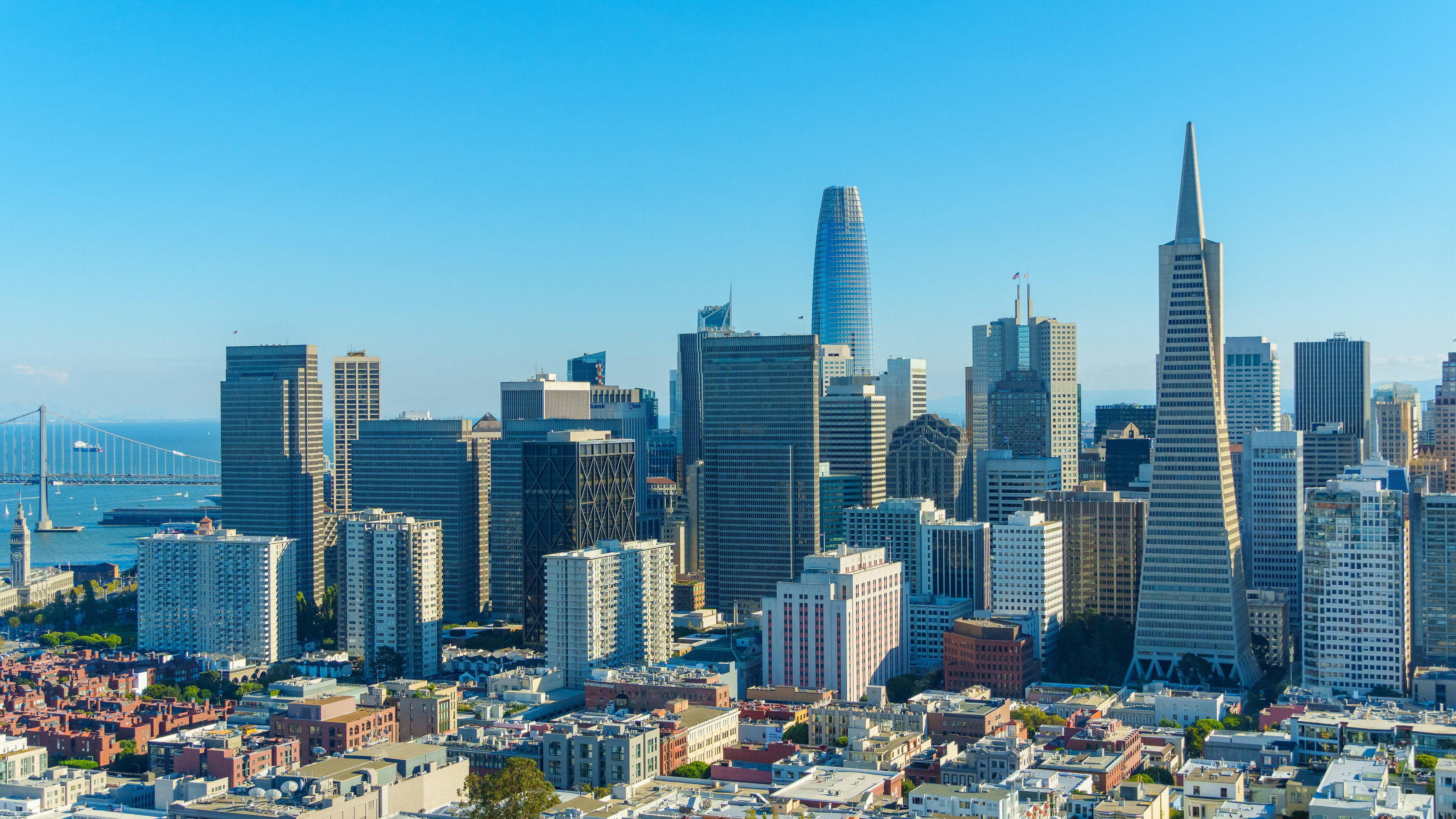 The San Francisco skyline